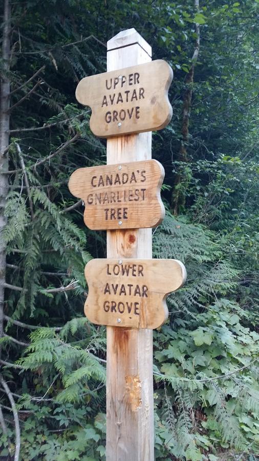 Tilby'S Rainbow Cottage Port Renfrew Exterior foto